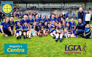 Comhghairdeas to our senior Ladies 2025 Division Three winners